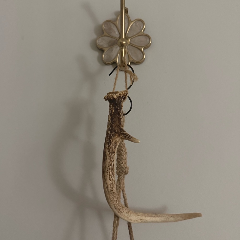 Natural Deer Antler Wall Hanging - Rustic Décor
